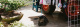 Curious Cat in the middle of nothing (photo: Rou Rodríguez).