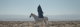 Film Still: Mashrou’ Leila (Music), Jessy Mousallem (Video): «Roman‬» (Lebanon, 2017)
