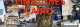  tz_cairo_title72.jpg 