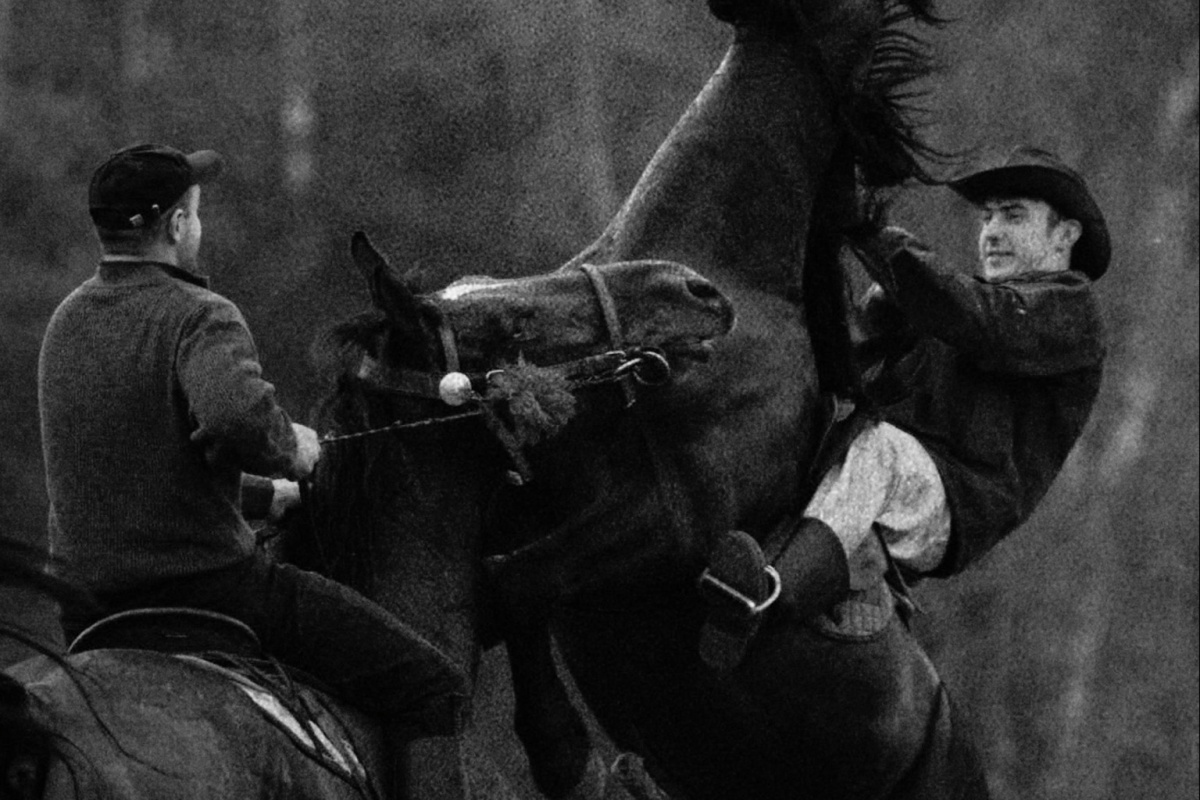  Filmstill: «Krzyżoki», Anna Gawlita, 2018. 