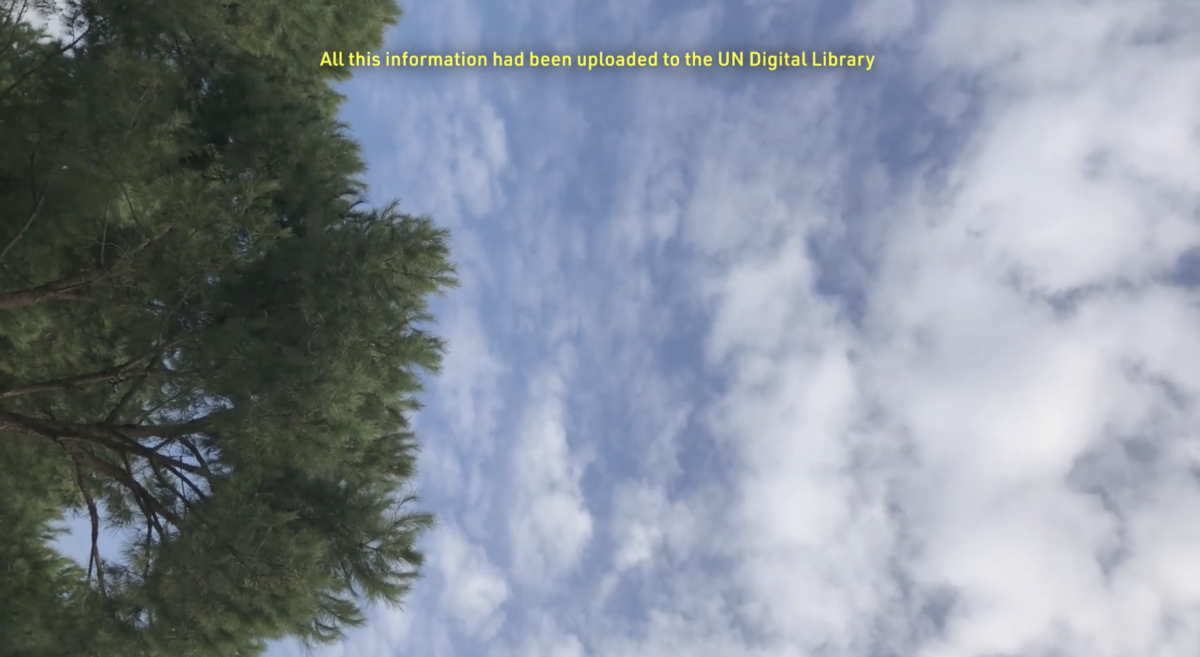 The Diary of a Sky still