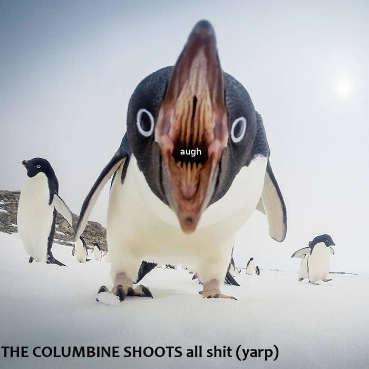 photo: The Columbine Shoots