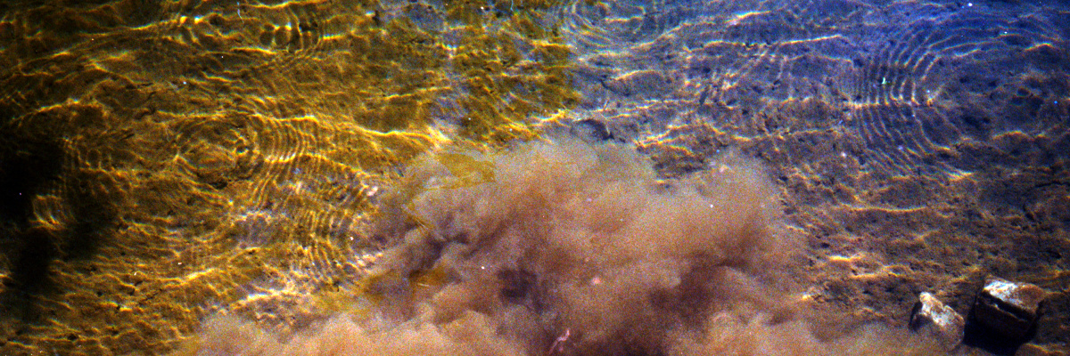 Dust and frequencies