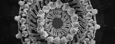 Szene aus »42.nd Street« (1933, Busby Berkeley)