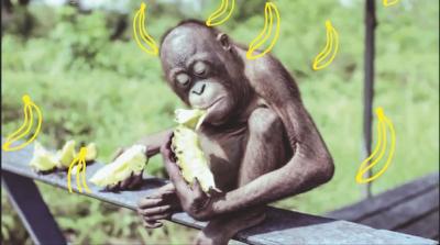 Filmstill: Karima 2G (Music and Video): «Orangutan» (Italy 2014)
