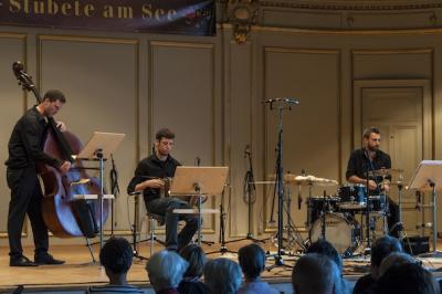 Das Marcel Oetiker Trio im kleinen Tonhalle Saal (photo: Aschi Meyer 2012)