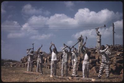 Prisoners chopping wood, shot by Alan Lomax, 09-16-1959, Parchman, Mississippi (photo: Alan Lomax).