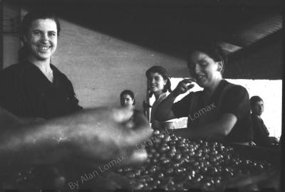 Olive pickers singing, Bormujos (Sevilla), Andalucía (Spain), 1952 (photo: Alan Lomax).