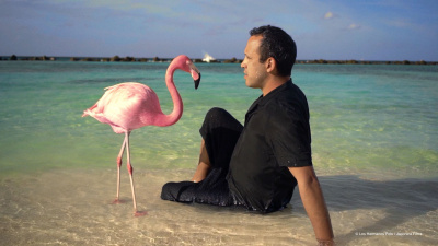 Filmstill: «The Mystery of the Pink Flamingo», Javier Polo Gandía, 2020.