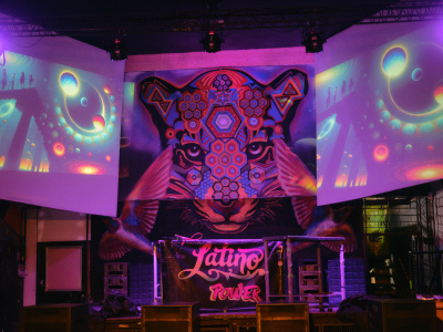 Jaguar (photo: Sara Piñeros).